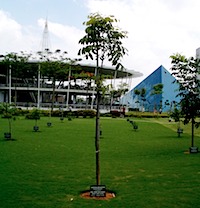 IMGP0714.JPG copy