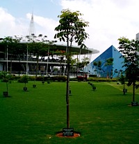 IMGP0714.JPG copy